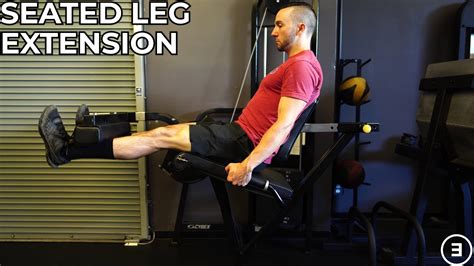 Seated Leg Extension - YouTube