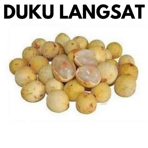 Duku Langsat |Dokong (1 pkt) Fresh Fruits [Klang Valley] | Lazada