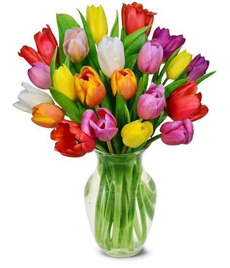 Rainbow Tulip Bouquet - 20 Stems at From You Flowers