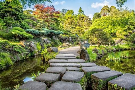 Golden Gate Park, San Francisco | Tickets & Tours - 2024