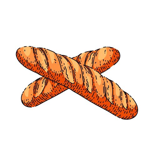 french bread sketch hand drawn vector 17588876 Vector Art at Vecteezy