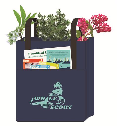 Orca Conservation Kits Delivered to Your Door! - Whale Scout