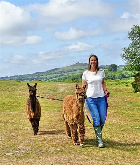 Award Winning Alpaca Farm Experiences - Explore Eat Stay