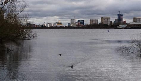 Edgbaston Reservoir