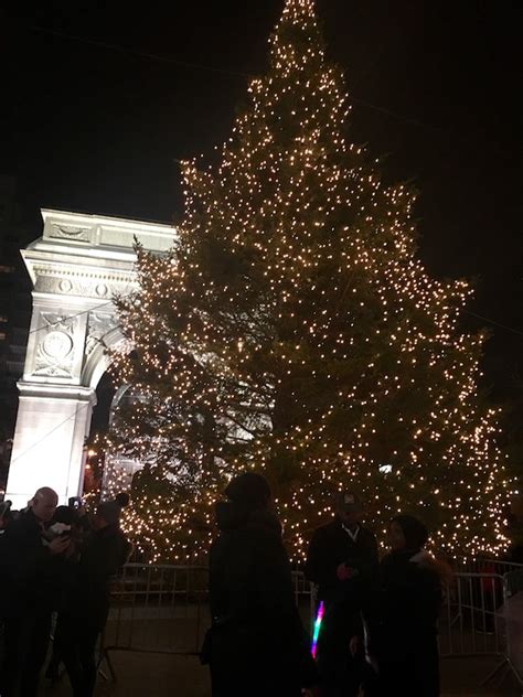 The Tree is Lit at Washington Square! On Fountain Plaza for 2017 ...