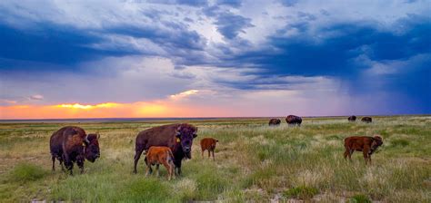 Discover the High Plains of Colorado