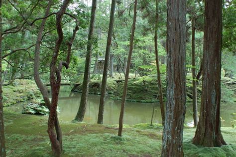 Moss Garden / Kyoto | Lakuda-san | Flickr