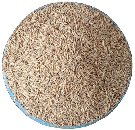 Whole Grains Basmati Rice at best price in Varanasi | ID: 23959298473