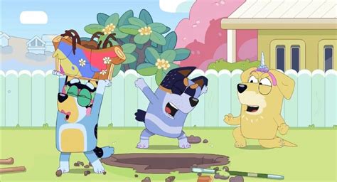 21 Best 'Bluey' Episodes for Adults and Parents | The Mary Sue