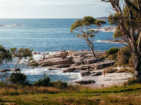 21 Best Things To Do In Bicheno, Tasmania