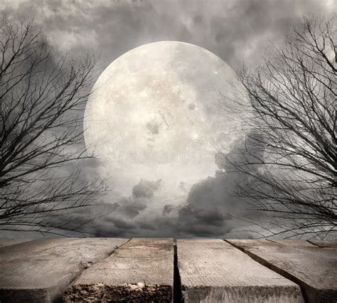 12,065 Full Moon Forest Stock Photos - Free & Royalty-Free Stock Photos ...