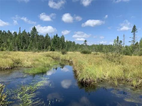 10 Best Trails and Hikes in Saranac Lake | AllTrails