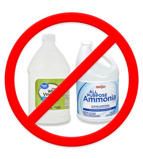 Bleach And Ammonia For Rats at Charles Flanagan blog