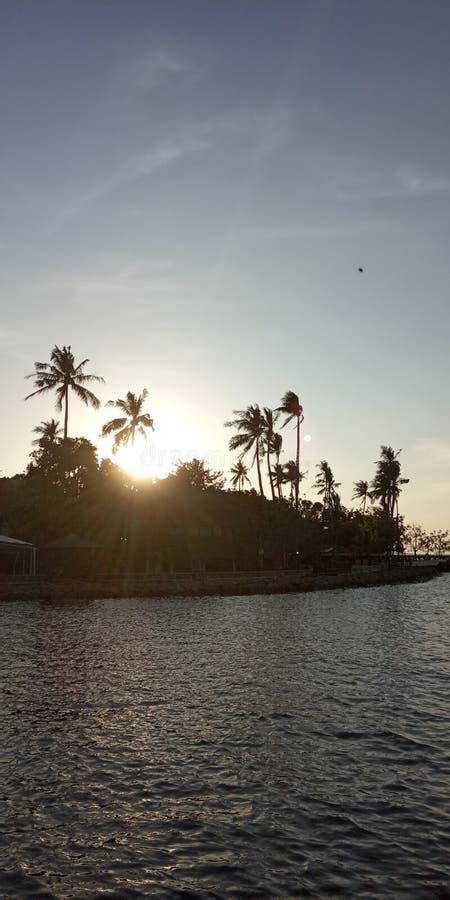 Photo of Beach at Sunset with Silhouette of Palm, Coconut Tree at ...