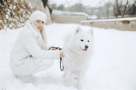 Portrait of white dressed young woman with white dog in the snow stock photo