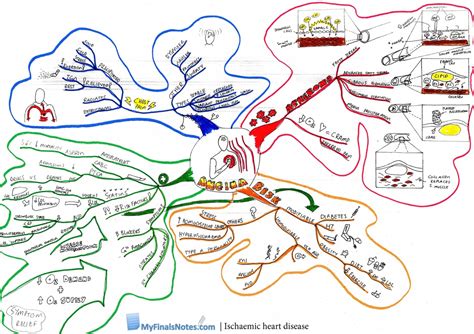 iSchaemic heart disease revision notes - myfinalsnotes