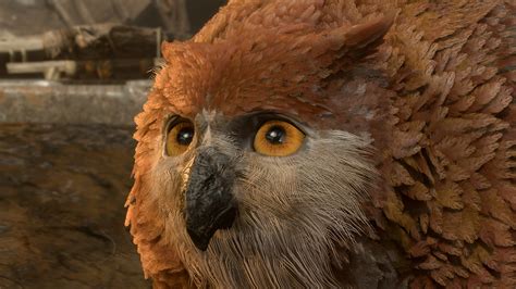 Baldur's Gate 3 owlbear cub: How to get this cute critter | PC Gamer