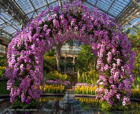 Photography at Longwood Gardens - Osprey Photo Workshops and Tours