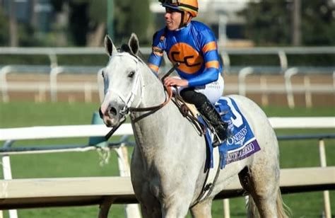 Dutrow has high hopes for White Abarrio, Master Piece