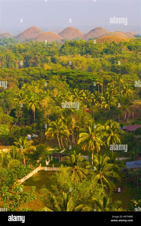 Sunrise over the Chocolate Hills Bohol The Philippines Stock Photo - Alamy