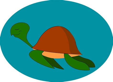 Flying turtle, vector or color illustration. 13591345 Vector Art at ...