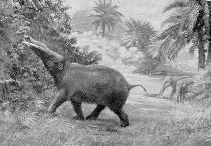 Palaeos Cenozoic: Miocene: The Miocene Epoch