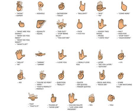 Signily: Text in Sign Language