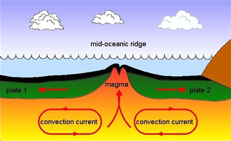 1 Which of the Following Correctly Describes Seafloor Spreading ...