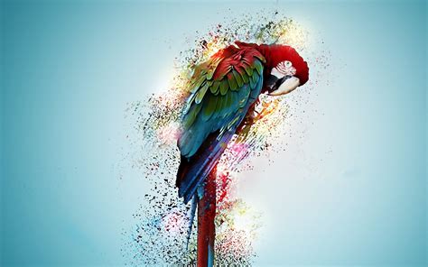 Colorful Bird Art Wallpapers - Wallpaper Cave