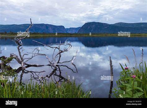 Western newfoundland hi-res stock photography and images - Alamy
