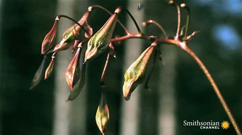 Kids in the Biosphere: Spreading your seeds