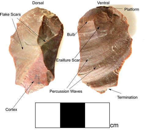 Features of a Flake - Ember Archaeology