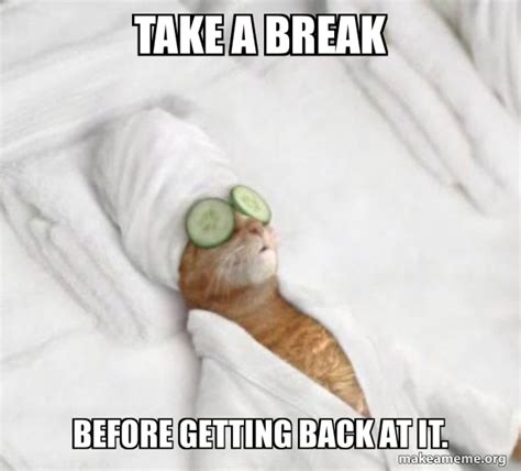 Take a break before getting back at it. - Pampered Cat Meme Meme Generator