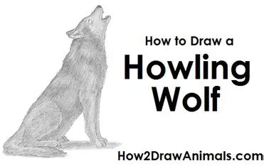 Simple Howling Wolf Sketch