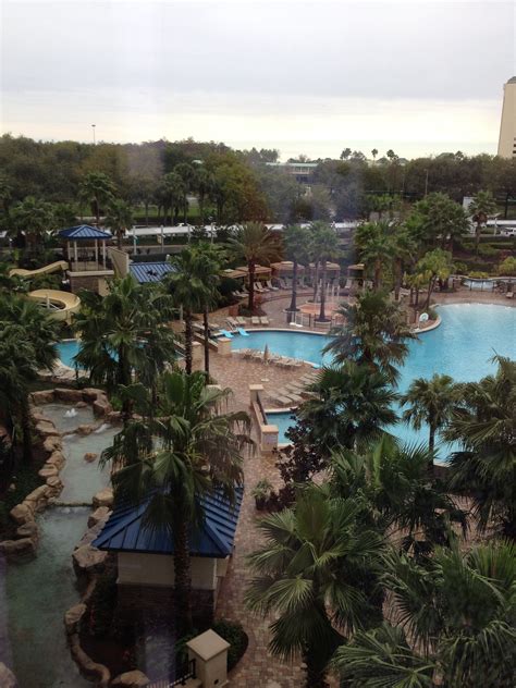 Hyatt Regency Orlando pool | Hyatt regency orlando, Orlando pool ...