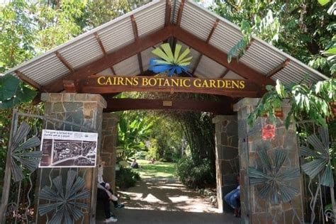 5 Cairns Must Do Activities in 5 Days 2023 • CORR Travel