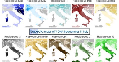 Haplogroup K (mtDNA) | Genetics, Dna history, Family tree dna