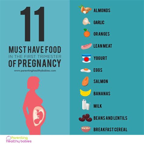 11 must have food in the first trimester of pregnancy – Artofit