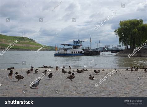 1,074 Bingen rhein Images, Stock Photos & Vectors | Shutterstock