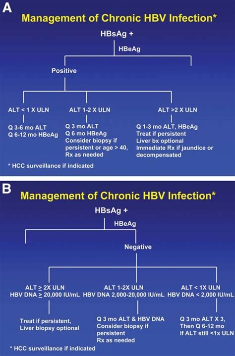 Algorithm for follow-up of HBV carriers who are HBeAg-positive (A) or ...