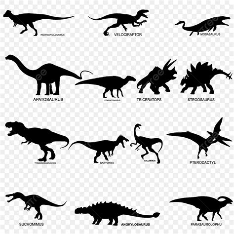 Dinosaur Silhouette