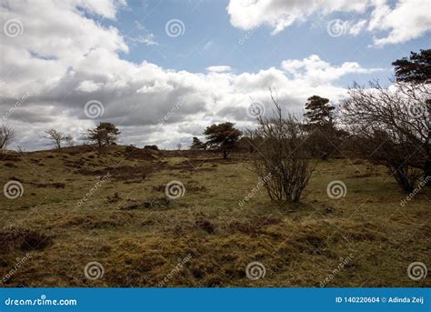 Looking Over the Jutland Landscape Stock Photo - Image of humanmade, peat: 140220604