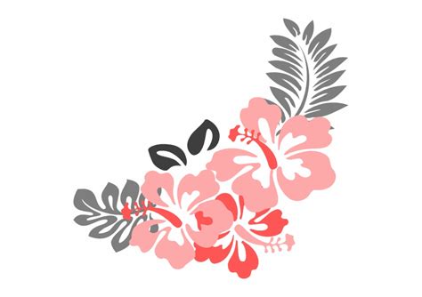 Free Hibiscus Border Png, Download Free Hibiscus Border Png png images ...