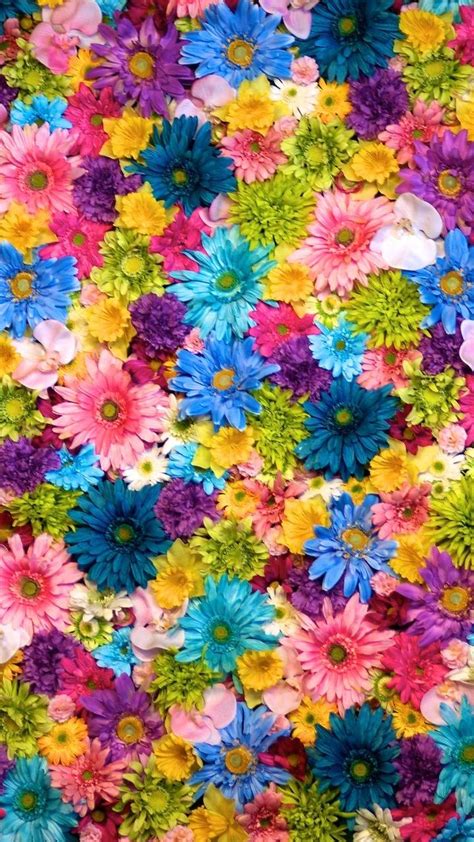 Bright Flowers Wallpapers - Wallpaper Cave