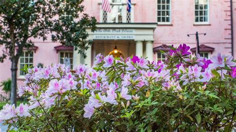 Why The Olde Pink House is Pink | Visit Savannah