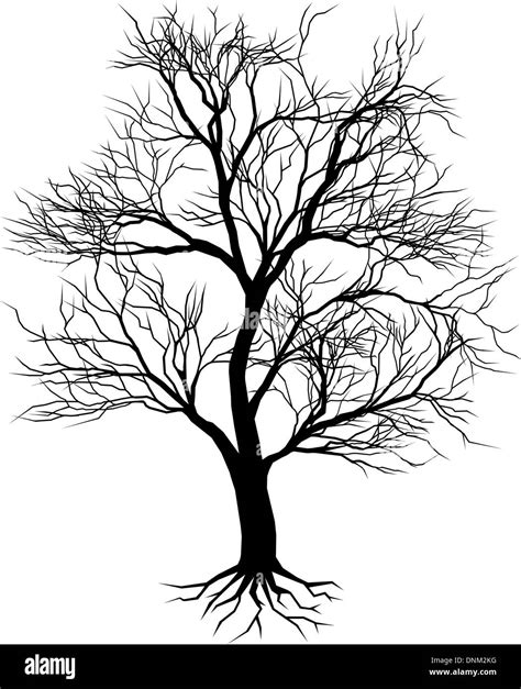 A hand drawn old tree silhouette illustration Stock Vector Image & Art ...