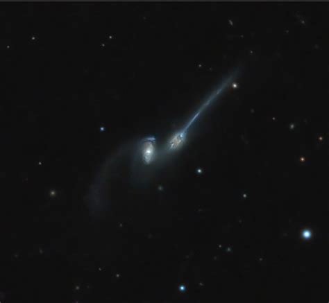 ARP 242 - The Mice Galaxies - Sky & Telescope - Sky & Telescope