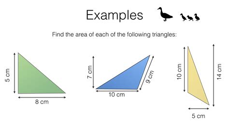 9+ How To Do The Area Of A Triangle Trending | Hutomo