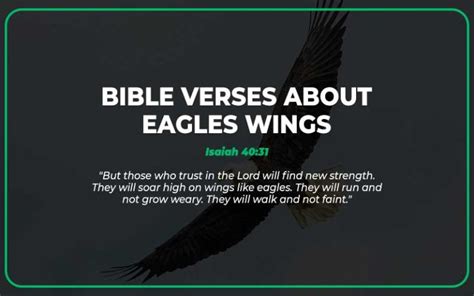 Top 27 Bible Verses About Eagles Wings - Scripture Savvy