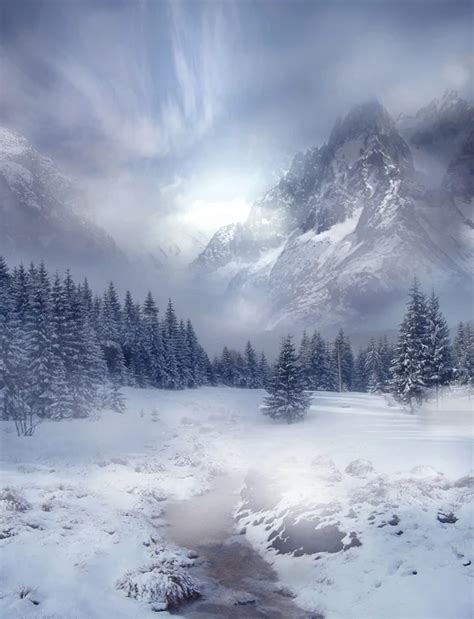 Winter scenery vinyl cloth snow forest mountain photography backdrops for wedding children photo ...